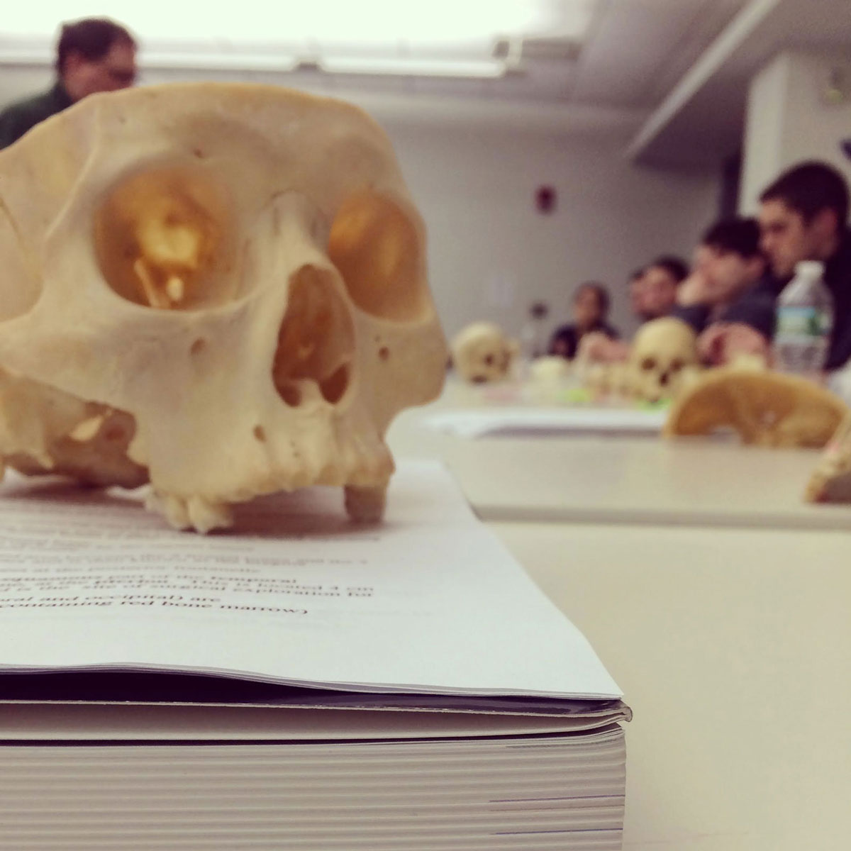 to-be-a-medical-student